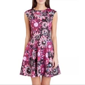 Ted Baker Scuba Jewel Printed Scuba Dress